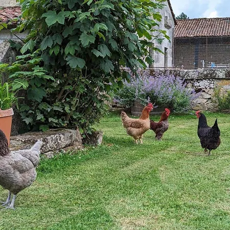 Familial En Pleine Nature Avec Piscine Chauffee Et Equipements Bebe - Fr-1-653-129 * Montmoreau